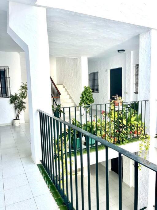 El Gato Gris Apartment Conil De La Frontera Exterior foto